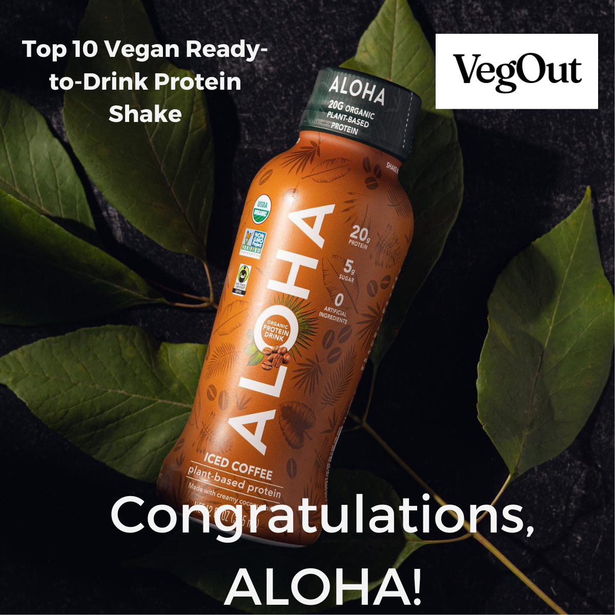 The 10 Best Vegan Ready-to-Drink Protein Shakes